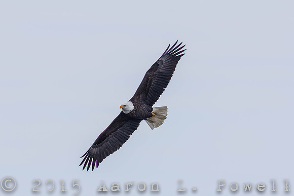 20150206103435-2