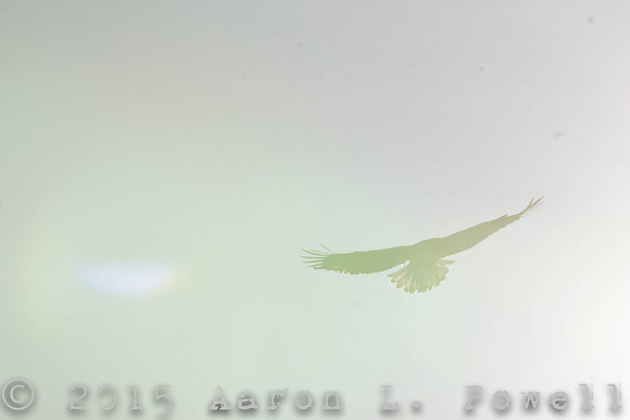 20150205170511