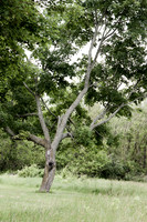 Brighton Recreation Area