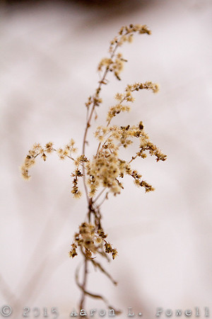 20150131170156