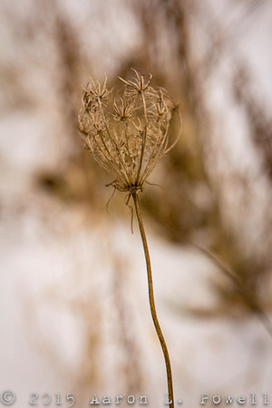 20150131164101