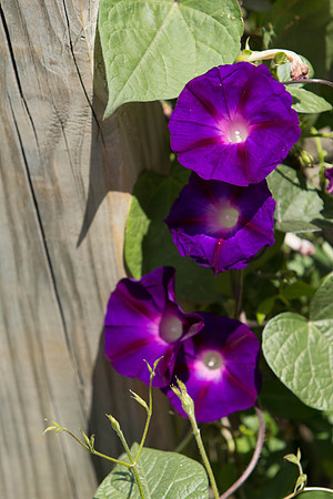 20130525140209