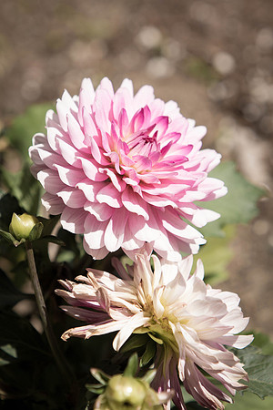 20130525140301