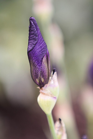 20130525133052