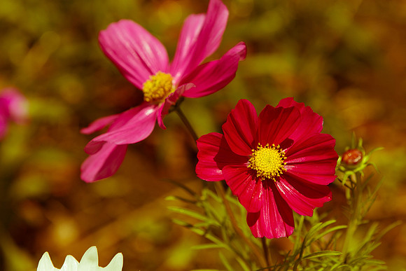 20130525133255