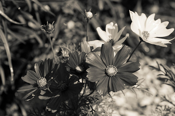 20130525133248