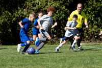 Madison Heights Soccer 2024